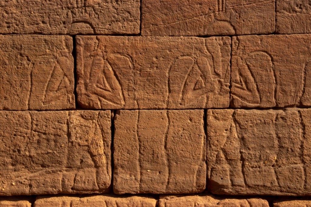 nubia_2023feb24_1265.jpg