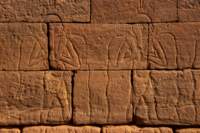 nubia_2023feb24_1265_small.jpg