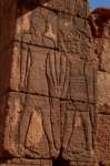 nubia_2023feb24_1268_small.jpg