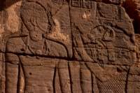 nubia_2023feb24_1269_small.jpg