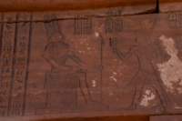 nubia_2023feb24_1270_small.jpg