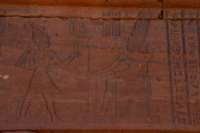 nubia_2023feb24_1272_small.jpg
