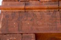 nubia_2023feb24_1274_small.jpg