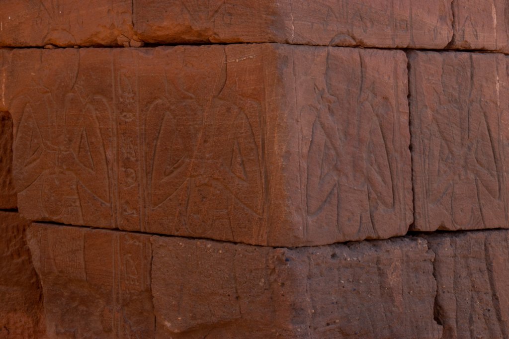 nubia_2023feb24_1277.jpg