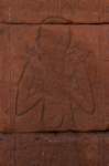 nubia_2023feb24_1278_small.jpg