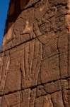 nubia_2023feb24_1279_small.jpg