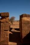 nubia_2023feb24_1283_small.jpg