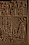 nubia_2023feb24_1286_small.jpg