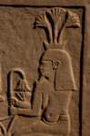 nubia_2023feb24_1287_small.jpg