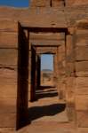 nubia_2023feb24_1288_small.jpg