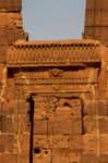 nubia_2023feb24_1296_small.jpg