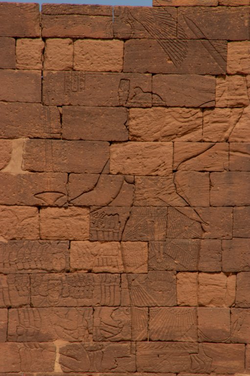 nubia_2023feb24_1298.jpg