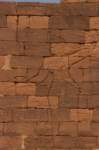 nubia_2023feb24_1298_small.jpg