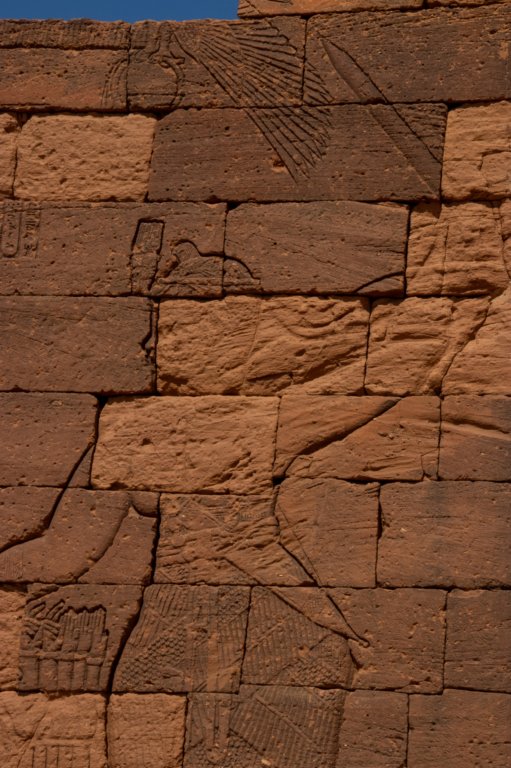 nubia_2023feb24_1299.jpg
