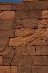 nubia_2023feb24_1299_small.jpg