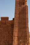nubia_2023feb24_1301_small.jpg