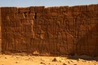 nubia_2023feb24_1304_small.jpg