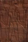 nubia_2023feb24_1306_small.jpg
