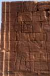 nubia_2023feb24_1308_small.jpg