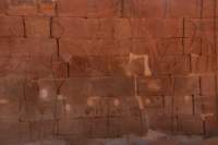 nubia_2023feb24_1309_small.jpg