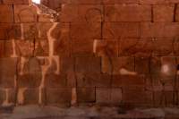 nubia_2023feb24_1311_small.jpg