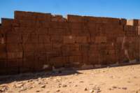 nubia_2023feb24_1313_small.jpg
