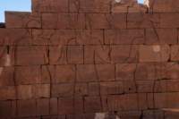 nubia_2023feb24_1314_small.jpg