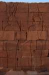 nubia_2023feb24_1315_small.jpg