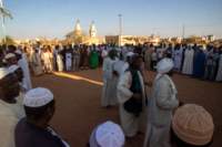 nubia_2023feb24_1319_small.jpg