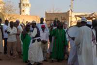nubia_2023feb24_1321_small.jpg