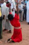 nubia_2023feb24_1502_small.jpg