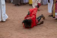 nubia_2023feb24_1504_small.jpg