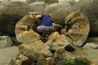 img_1212_13b102_small.jpg
