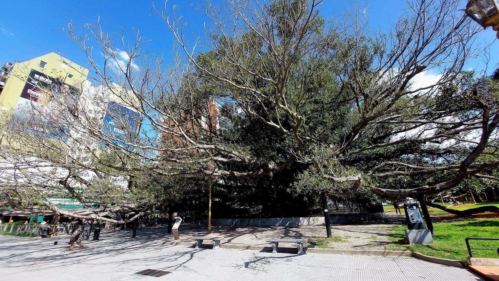 p03apr25_buenosaires.jpg