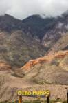 apr25_saltatincara4_small.jpg