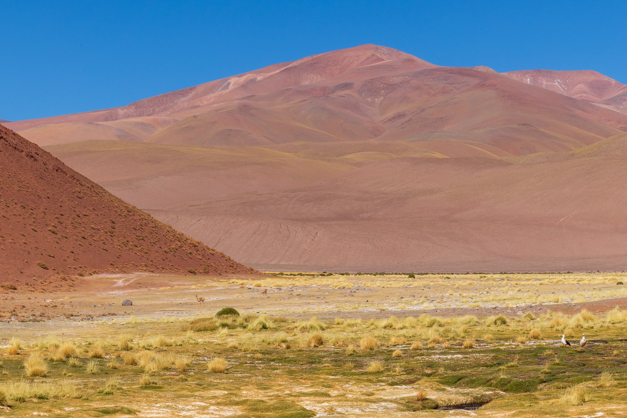 apr25_antafallaelpenon100.jpg