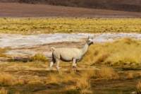 apr25_antafallaelpenon104_small.jpg