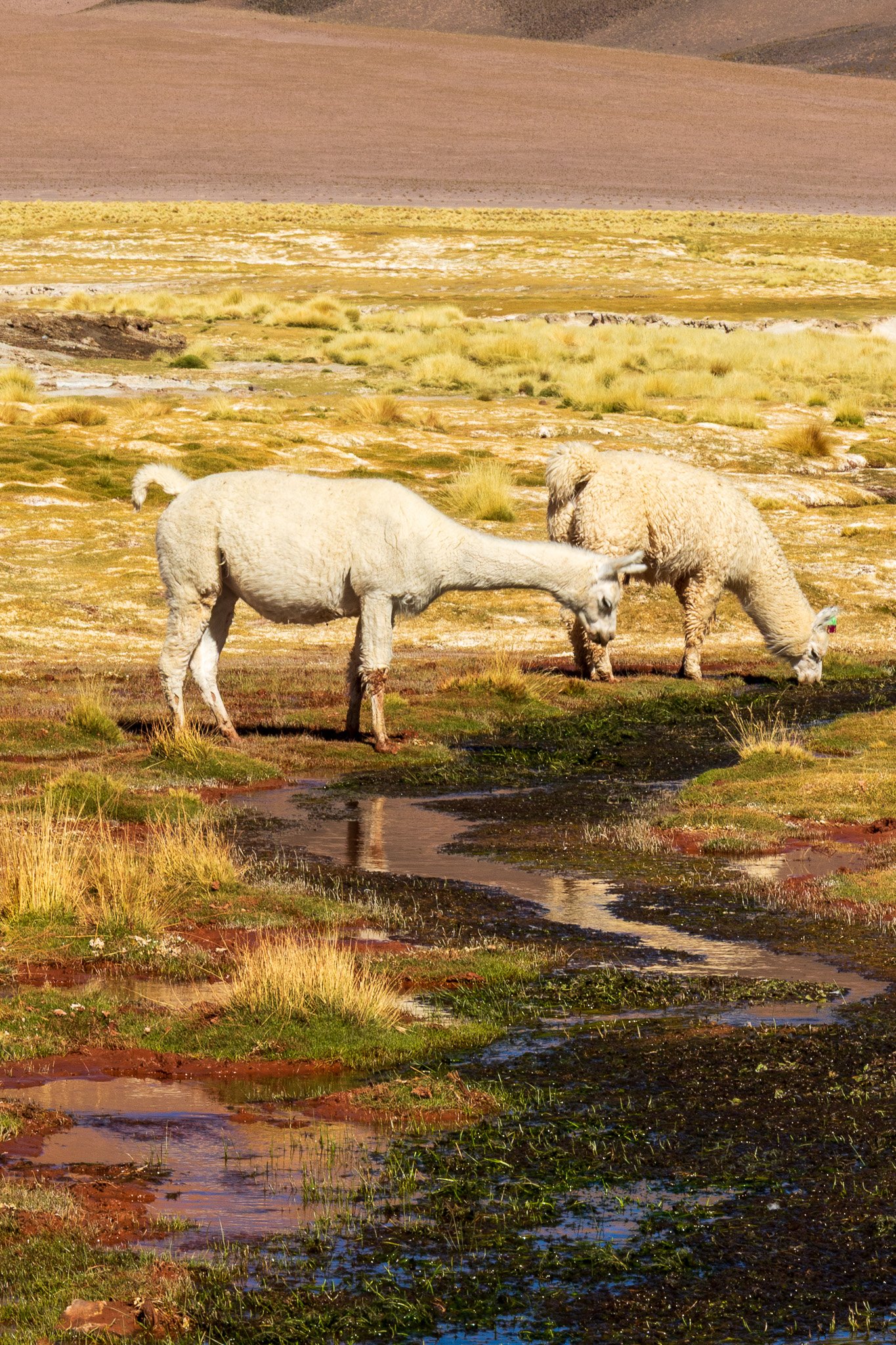 apr25_antafallaelpenon107.jpg