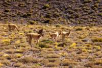 apr25_antafallaelpenon112_small.jpg