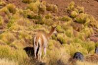 apr25_antafallaelpenon113_small.jpg