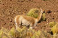apr25_antafallaelpenon114_small.jpg