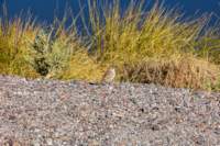 apr25_antafallaelpenon15_small.jpg