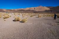 apr25_antafallaelpenon17_small.jpg