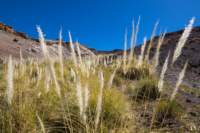 apr25_antafallaelpenon72_small.jpg