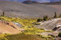 apr25_antafallaelpenon79_small.jpg