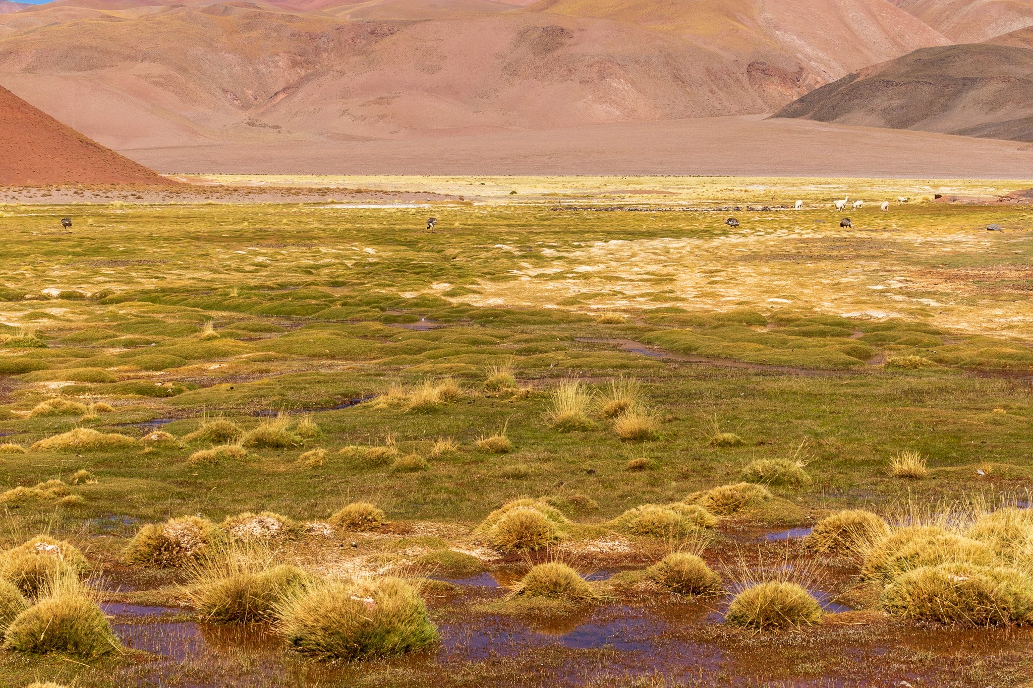 apr25_antafallaelpenon90.jpg