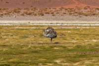 apr25_antafallaelpenon91_small.jpg