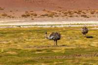 apr25_antafallaelpenon92_small.jpg