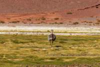 apr25_antafallaelpenon93_small.jpg