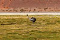 apr25_antafallaelpenon94_small.jpg